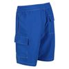 Regatta - Bermudas Hotham Iv Para Hombre