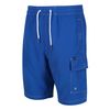 Regatta - Bermudas Hotham Iv Para Hombre