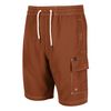 Regatta - Bermudas Hotham Iv Para Hombre