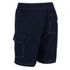 Regatta - Bermudas Hotham Iv Para Hombre