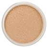 Lily Lolo Refill Base Mineral Barelybuff