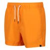 Regatta - Bermudas Mawson Ii Para Hombre