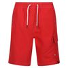 Regatta - Bermudas Hotham Iv Para Hombre