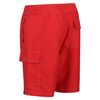 Regatta - Bermudas Hotham Iv Para Hombre