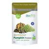 Pumpkin Protein/proteina De Calabaza Bio 300g Biotona