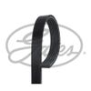 5pk1103 Correa De Accesorios