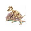 Kit De Fouille Tyrannosaurus Rex Pw