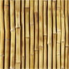 Vinilos Papel Pintado Bambú De Jakarta - Adhesivo De Pared - Revestimiento Sticker Mural Decorativo - 50x50cm