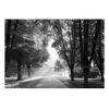 Fotomural Autoadhesivo - Path Of Memories:tamaño - 98x70