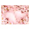 Fotomural Autoadhesivo - Magical Cherry Blossom:tamaño - 196x140