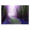 Fotomural Autoadhesivo - Purple Path:tamaño - 147x105
