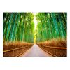 Fotomural Autoadhesivo - Bamboo Forest:tamaño - 196x140