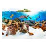 Papel Pintado 3d -  Arrecife De Coral (400x280 Cm)
