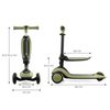 Halley: Triciclo Sin Pedales 2 En 1 Y Patinete Grassl And Green