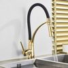 Grifo Para Cocina Rea Gaspar Black / Gold