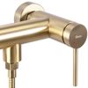 Grifo De Ducha Rea Foss Brush Gold