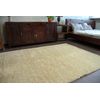 Alfombra Shaggy Narin P901 Beige Claro/dorado 120x170 Cm