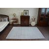 Alfombra Shaggy Micro Plateado 60x100 Cm