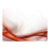 Papel Pintado 3d -  Elegant Orange Design (400x309 Cm)