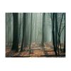 Papel Pintado 3d -  Witches' Forest (250x193 Cm)