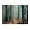 Papel Pintado 3d -  Witches' Forest (400x309 Cm)