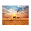 Papel Pintado 3d -  Elefantes Africanos En Sabana (400x309 Cm)