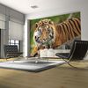 Papel Pintado 3d -  Tigre De Sumatra (200x154 Cm)