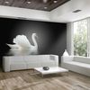 Papel Pintado 3d -  Cisne (blanco Y Negro) (200x154 Cm)