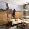 Papel Pintado 3d -  Caballo Y Potro (250x193 Cm)