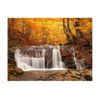 Papel Pintado 3d -  Autumn Landscape : Waterfall In Forest (250x193 Cm)