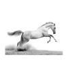 Papel Pintado 3d -  White Gallop (200x154 Cm)