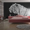 Papel Pintado 3d -  Un Tigre Blanco (200x154 Cm)