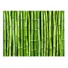 Papel Pintado 3d -  Una Pared De Bambú (350x270 Cm)