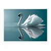 Papel Pintado 3d -  Cisne Blanco (350x270 Cm)
