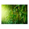 Papel Pintado 3d -  Selva - Bambú (200x154 Cm)