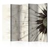 Biombo - White Dandelion Ii  (225x172 Cm)