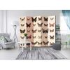 Biombo - Retro Style: Butterflies Ii  (225x172 Cm)