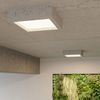 Plafón Led Riza Hormigón Sollux  3000k Gris