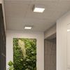 Plafón Led Riza Hormigón Sollux  3000k Gris