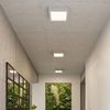 Plafón Led Riza Hormigón Sollux  3000k Gris