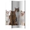 Biombo - Sweet Cats  (135x172 Cm)