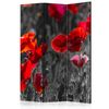 Biombo - Red Poppies  (135x172 Cm)