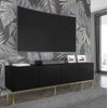 Mesa Tv Ravennac 200x42x58 Negro & Dorado