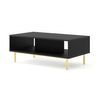 Mesa De Centro Ravennab 90x60x45 Negro & Dorado