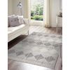 Alfombra Nano Eo61a Diamantes, Bucle, Tejido Plano Gris / Blanco 180x270 Cm