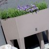 Jardinera Alta Rectangular 30l Con Autorriego Antracita 60x25x46 Cm Con Patas