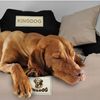 Kingdog Cama Para Perros Y Gatos Con Dos Cojines Cojín Para Perros Cesta Para Mascotas Material Pvc Impermeable Lavable (3xl 145x115cm, Gris Oscuro)