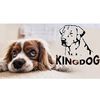 Kingdog Cama Para Perros Y Gatos Con Dos Cojines Cojín Para Perros Cesta Para Mascotas Material Pvc Impermeable Lavable (3xl 145x115cm, Gris Oscuro)