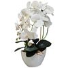 Damich Orquídea Artificial En Maceta, Planta, Flor Artificial, Decoración De Orquídeas Artificiales, 2 Ramas De Flores, Altura Aprox. De 50 Cm (blanco)