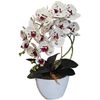 Damich Orquídea Artificial En Maceta, Planta, Flor Artificial, Decoración De Orquídeas Artificiales, 2 Ramas De Flores, Altura Aprox. De 50 Cm (multicolor)